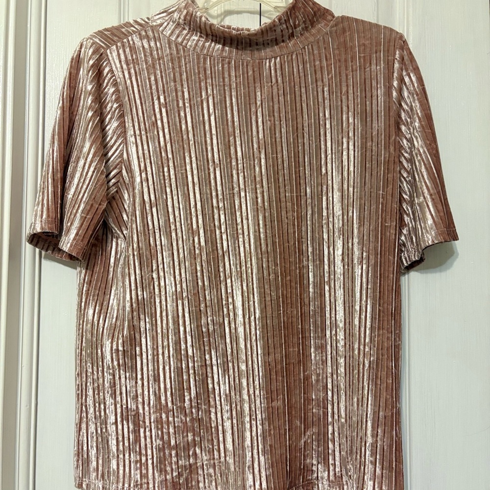 LOFT Velvet Pleated Short Sleeve Top - Blush Pink